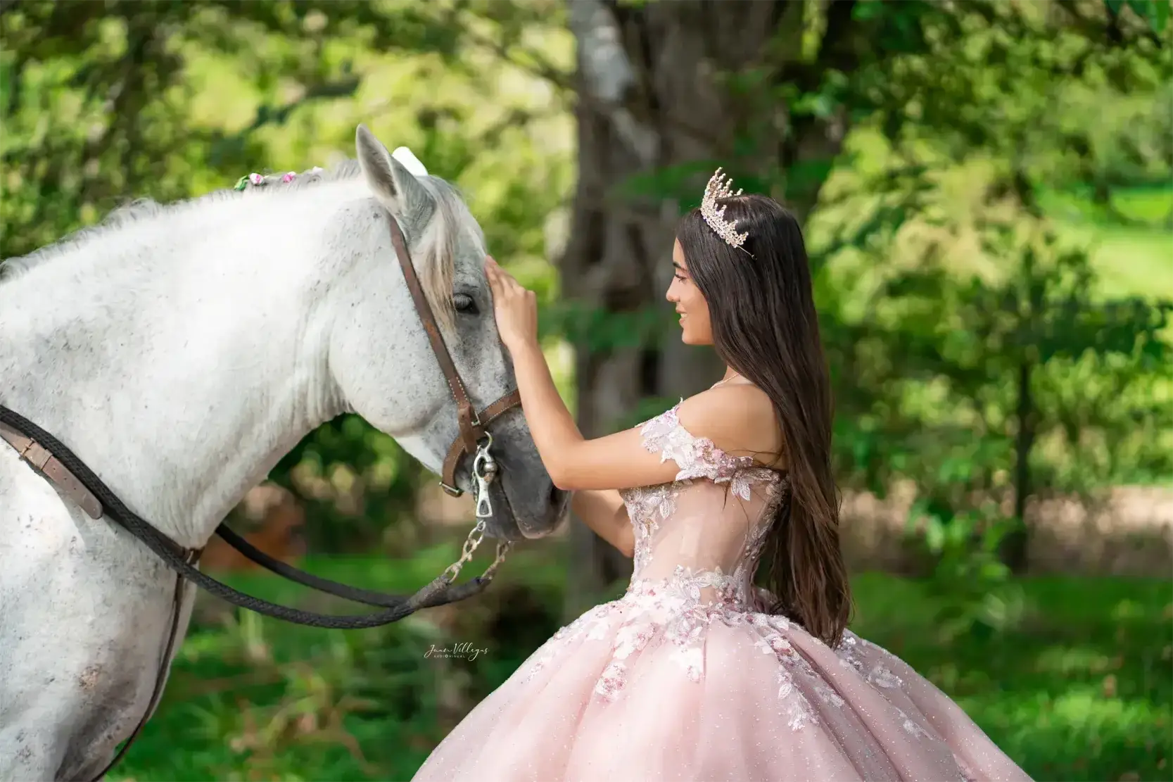 Mejores fotógrafos de quinceaños en Cartago